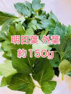 ジュークFAMILYのおやつ】乾燥いちご葉 15g 小動物 うさぎ チンチラ
