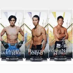 Item thumbnail for item cb24966c-562c-4178-ad96-2b37f3f93a06