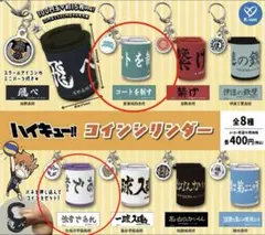 ハイキュー!! コインシンダー 白鳥沢、青葉城西