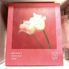 SALE新品未使用N organic ベーシックバランシングローション&ミルク