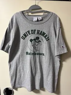 【美品】Champion T1011 ハワイ大学 レインボーロゴ USA製