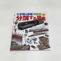 Item thumbnail for item 06d511e9-6ca4-4d11-ab7d-27d2b216083b