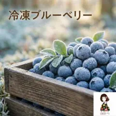 本州クール便込み【北信州中野産 ブルーベリー 約1.5kg】長野県産 家庭 