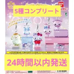 2026年最新】ガチャガチャ めじるしアクセサリー サンリオの人気
