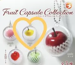 【フルーツカプセルコレクション】梨