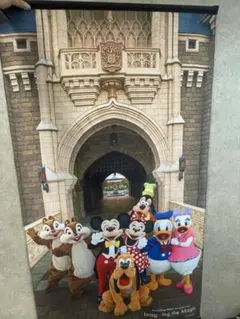 ディズニーリゾート イマジニングザマジック タペストリー ビッグ