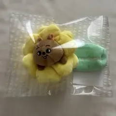 SKZOO スキズ ペンミ コレクトケース ハン トレカ付き クォッカ - メルカリ