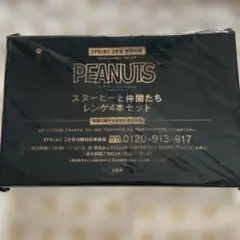 SPRiNG 特別付録 PEANUTS スヌーピーと仲間たち レンゲ4本セットのサムネイル