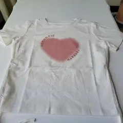 Item thumbnail for item 12c5a180-932f-4340-b157-543f346678e2