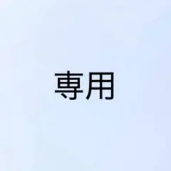 専用ページ