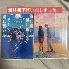 Item thumbnail for item 1c19a9e6-feb6-416e-a61d-7f1f2bca85d3