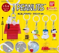 PEANUTS スヌーピー めじるしアクセサリー　クラシックver全6種類