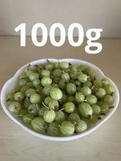 갓 딴 1000g 구스베리 커런트 커런트 과일