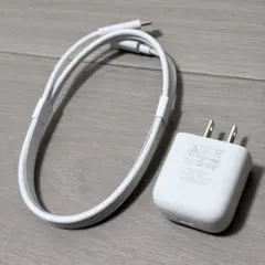 iQOS 純正 TypeCケーブルと充電器セット