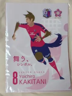 Item thumbnail for item 5bb006d9-b0e4-4667-9ded-656370cff08f