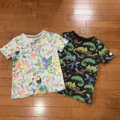 Item thumbnail for item f82ba45e-f705-4bae-b1ed-c201f996ae95