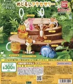 Winnie the Pooh プーさん めじるしアクセサリー コンプセット