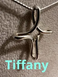 ポ*ト様 Tiffany ティファニー　インフィニティクロス　ネックレス　sil