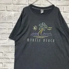 USA製90sヴィンテージTシャツ！シングルステッチ　グレー半袖古着　L 2
