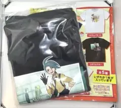 Tシャツコレクション スカーレット ポケモントレーナーズ チリ＆ドオー