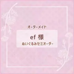 よーみ様 セミオーダーぬいぐるみ オーダーメイド品 - メルカリ
