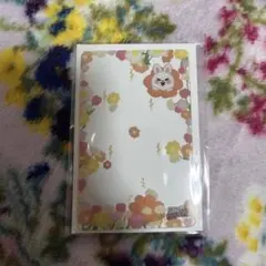 スキズ SKZOO ポップアップ 購入 特典 リービット リビット リノ お花