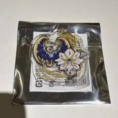 ポケモン ルナアーラ ソルガレオ レジェンドリサーチ アクキー アローラ