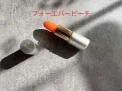 Item thumbnail for item 102e0064-208a-4809-98a6-651961f80e8e