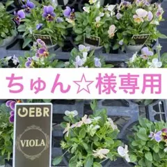 ちゅん☆様専用