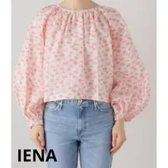 Item thumbnail for item 14dd6256-f946-47d5-8845-0872ec26d155