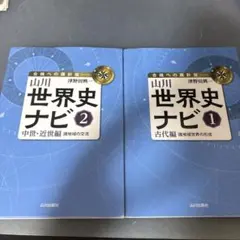 山川 世界史ナビ 1・2セット 津野田興一
