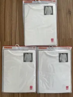 Item thumbnail for item 2c9cecef-15f2-4e5e-9f8b-aa5360cf70c5