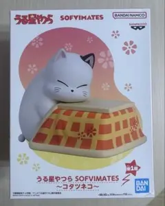 猫猫
