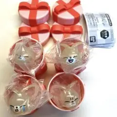 ぷくっとバースデークリアリング FoxI.Ny フォクシニー アイエン コンプ