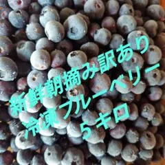 加工用完熟冷凍ブルーベリー10kg - メルカリ