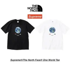 【レア】North Face限定コラボTシャツ