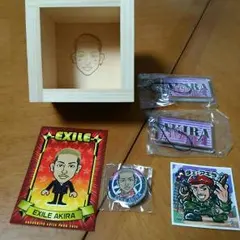 ☆EXILE AKIRAセット☆