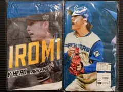 北海道日本ハムファイターズ 伊藤大海 タオル2枚セット