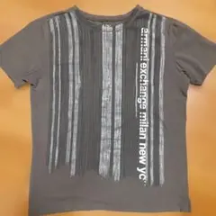 Armani Exchange ストライプ TシャツレディースL