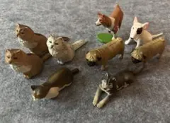 チョコq