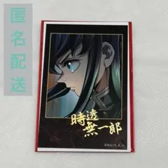 鬼滅の刃 ティザービジュアル第1弾 ランダムチェキ風ブロマイド 時透無一郎