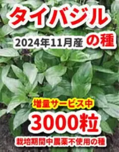 フミ様 リクエスト 2点 まとめ商品