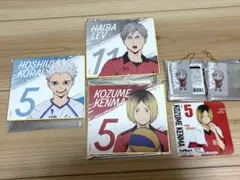 【4月中まで】ハイキュー 孤爪研磨 灰羽リエーフ 星海光来 色紙 コースター他
