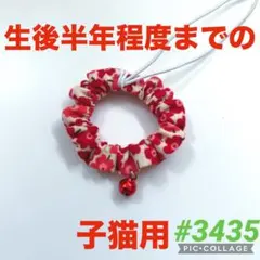 #3435 子猫用シュシュ首輪のサムネイル