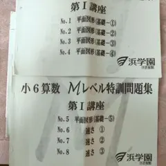 Item thumbnail for item 86bdbb9f-d7ee-4789-a22f-70fb95eddb6f