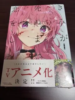 2026年最新】きみが死ぬまで恋をしたい 初版の人気アイテム - メルカリ