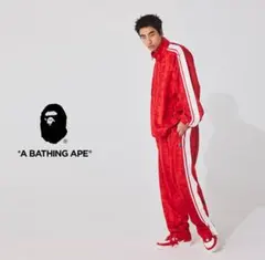A BATHING APE ジャージ　スウェット