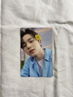 セブチミンギュトレカリパケ