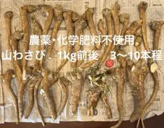 秋田県産 天然山菜 花わさび 葉わさび 500g 採れたて - メルカリ