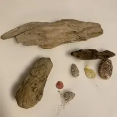 流木セット 様々なサイズ